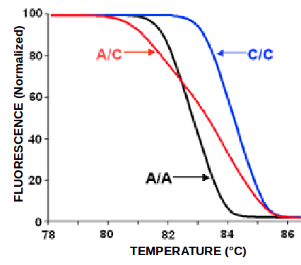 melting curve