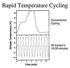 temp traces